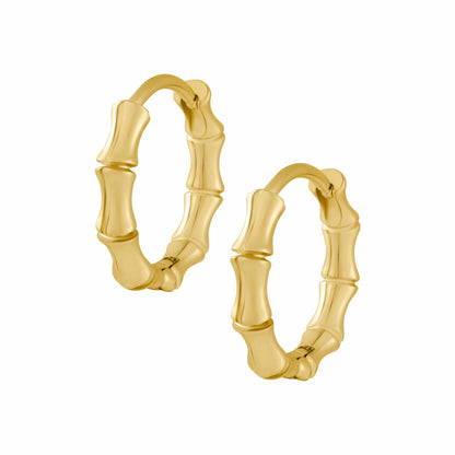 Star Cluster Hoops